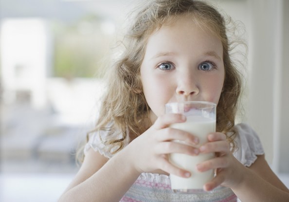 Er det nyttig å drikke fersk melk?