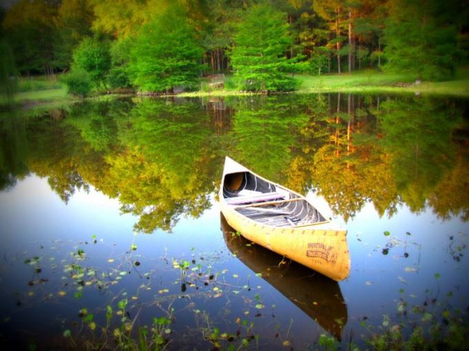 Konsistens og variabilitet i naturen kan inspirere kunstneren